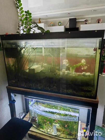 Аквариум от aquael 340л