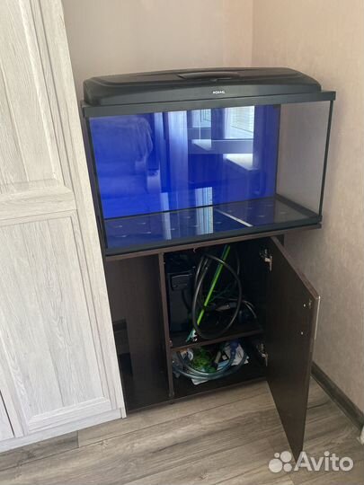 Аквариум с тумбой бу на 100 литров