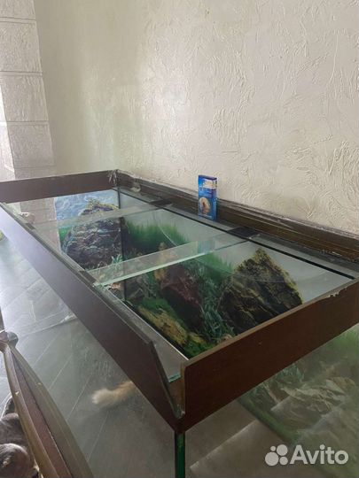 Аквариум с тумбой 250л