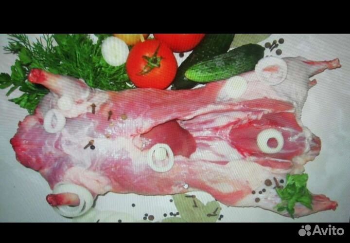 Нутрии