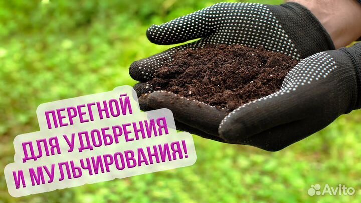Перегной навоз