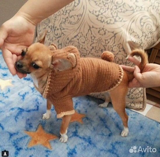 Нарядные вещи
