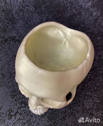 Череп кашпо