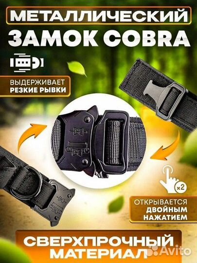 Ошейник для собак