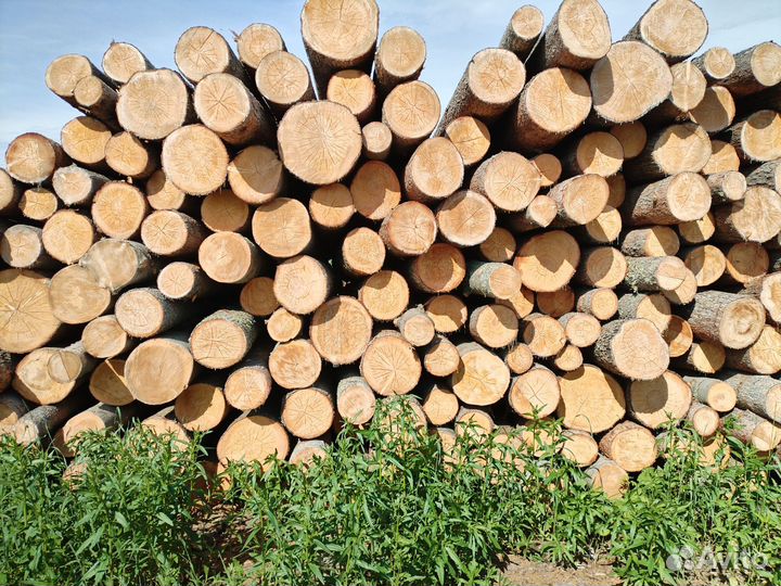Продам круглый лес