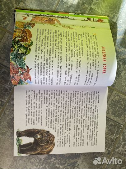 Рассказы и сказки о животных сборник красочный