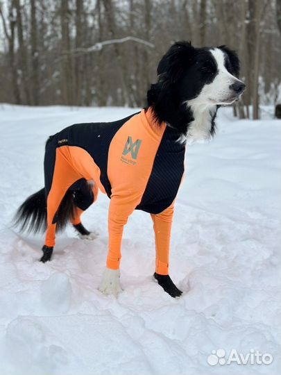Комбинезон для собак protector snow Non-stop