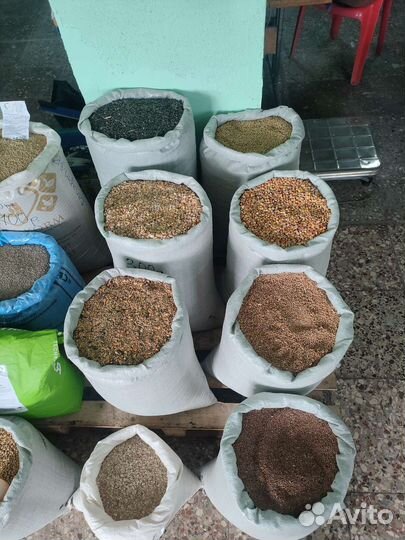 Комбикорм, зерно