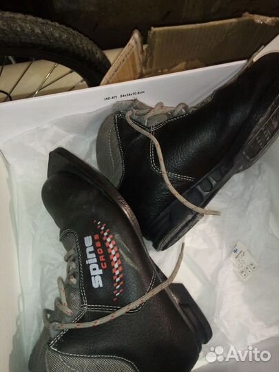 Лыжные ботинки spine cross