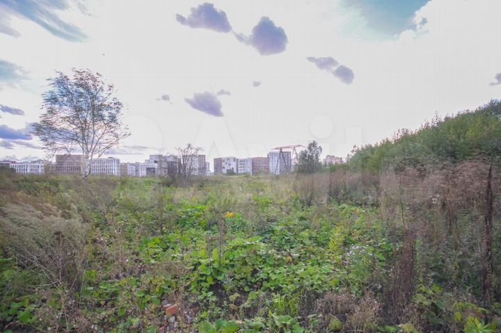 Участок 1,3 га (ИЖС)