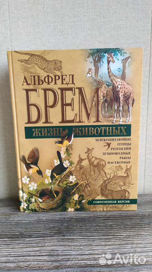 Альфред Брем 