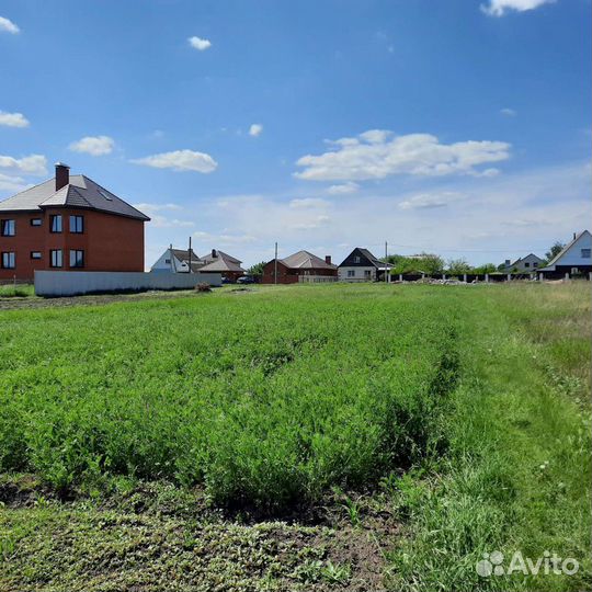 Сено отдадим