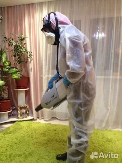 Уничтожение клопов таракан насекомых