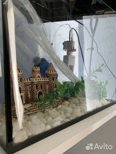 Аквариум