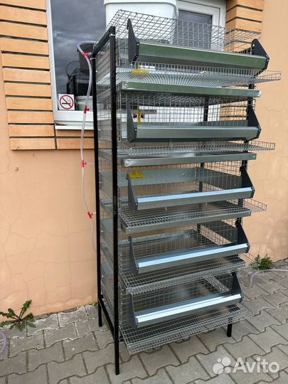 Клетка для 150 перепелов каркасная