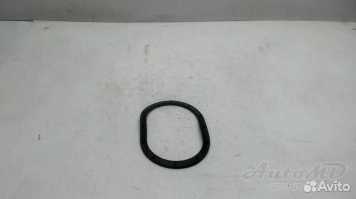 Уплотнение бензонасоса до 2008 Fiat Albea