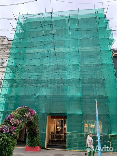 Аренда лесов