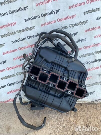 Коллектор впускной Infiniti Ex35 J50 VQ35HR 2009