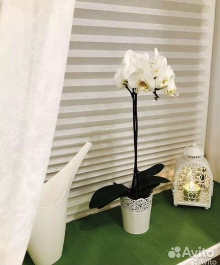 Жалюзи IKEA Шоттис новые в упаковке