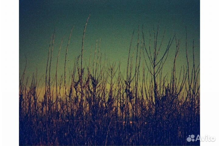 Фотопленка Lomography Lobster Redscale 110 ISO 200, 24 кадра