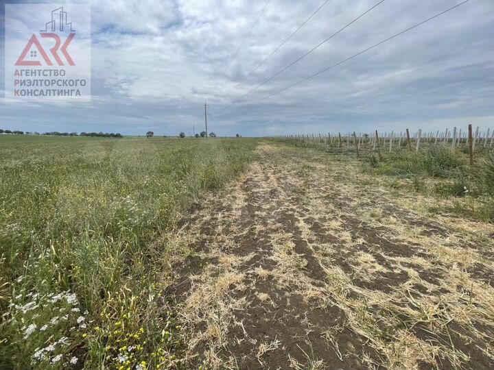 Участок 8 га (СНТ, ДНП)