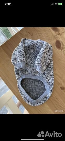 Одежда для животных