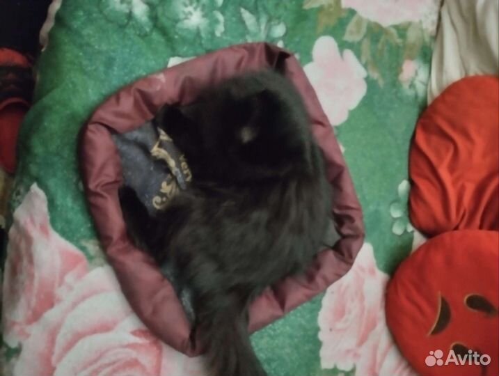 Лежанка для кошек