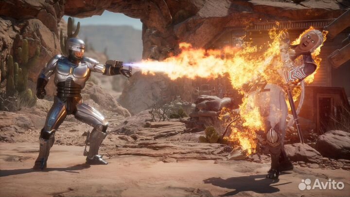 Mortal Kombat 11: Aftermath (Steam)