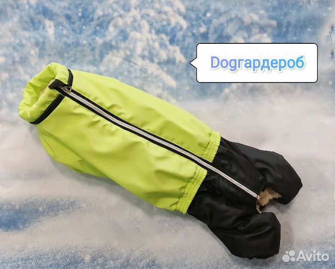 Зимний комбинезон для такс и корги