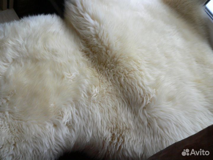Шкура ковер овечки
