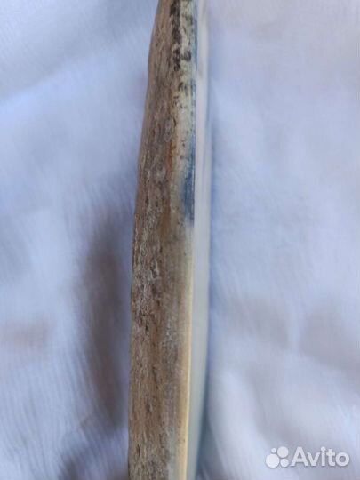 Часть бивня мамонта