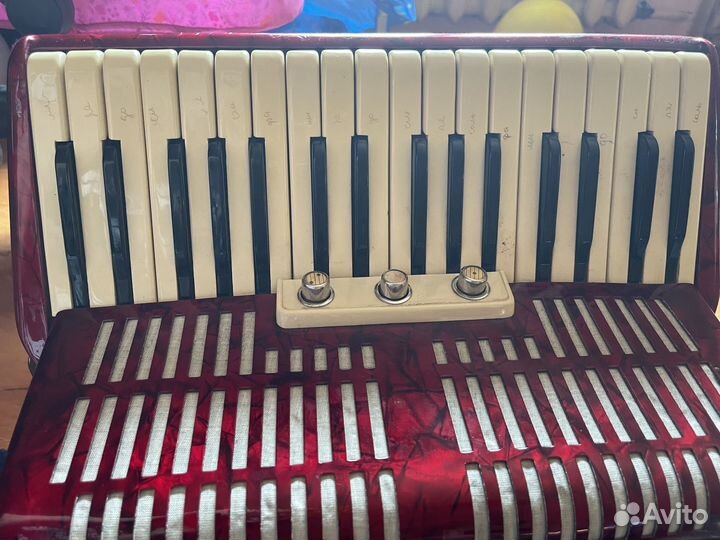 Акардион муза 1960 года