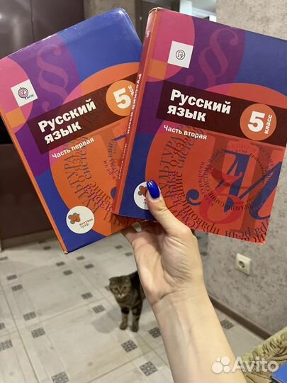 Русский язык шмелева 6 класс