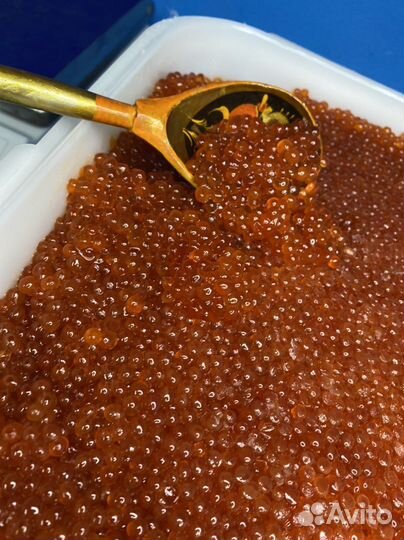 Красная Икра, икра горбуши, икра кеты
