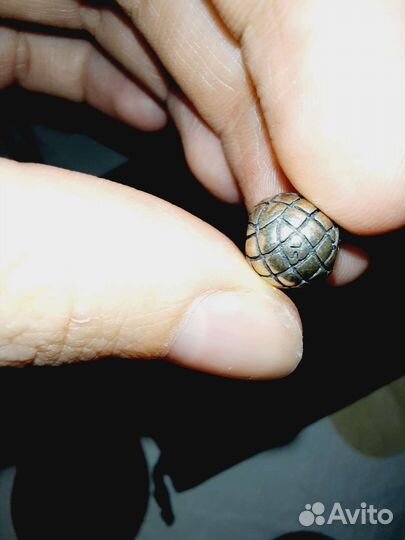 2 шарма sunlight