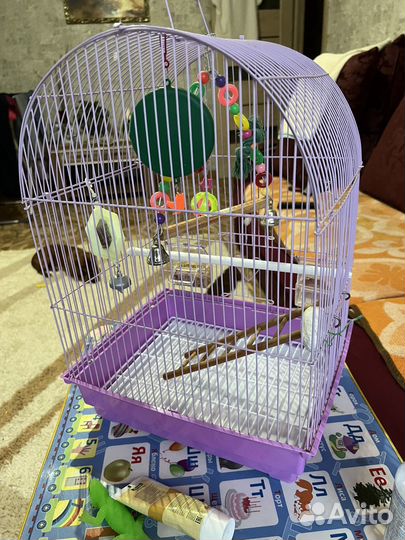 Клетка для попугая
