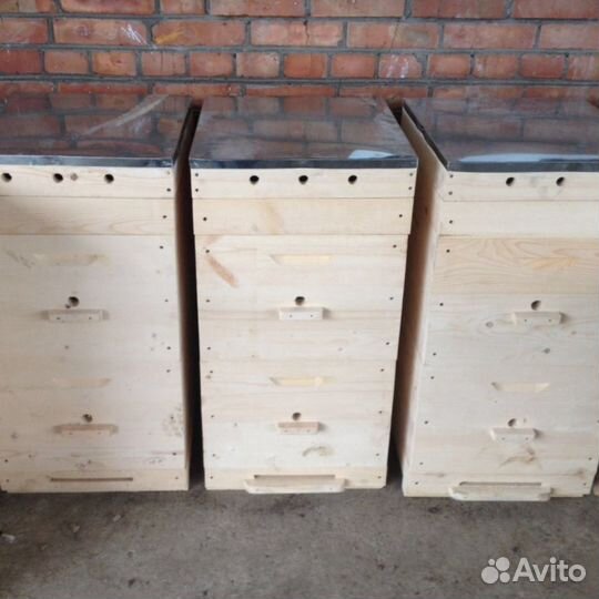 Улей Дадана-Блатта на 10 рамок. 2 корпуса