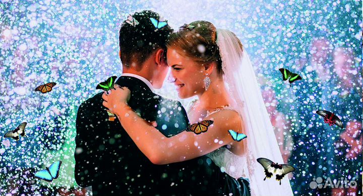 Салют из Живых Тропических Бабочек с/б-9