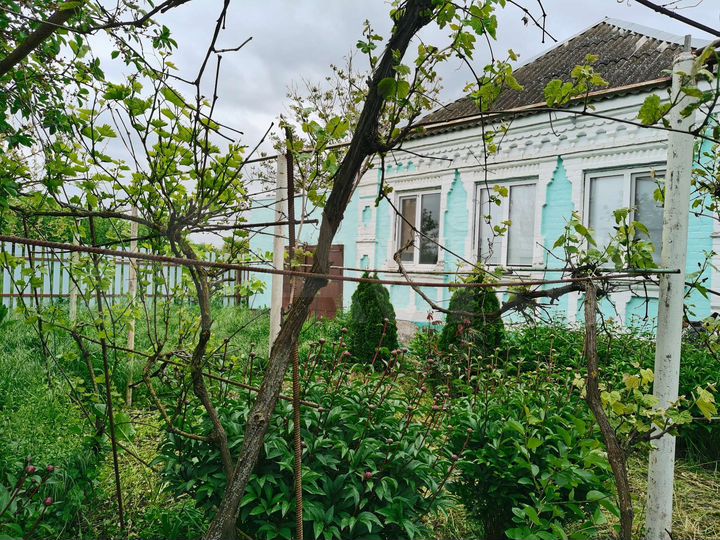 Дом 55 м² на участке 29 сот.