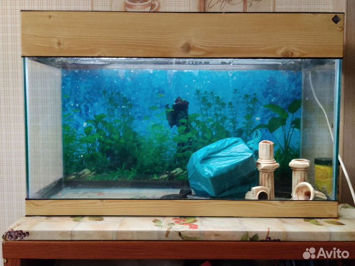Аквариум