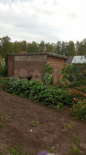 Дача 60 м² на участке 12 сот.