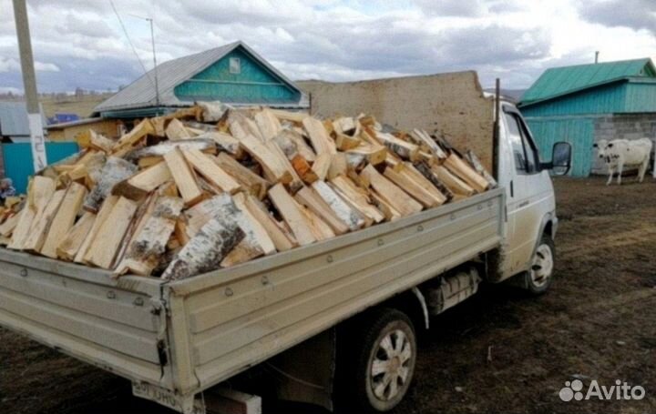 Дрова березовые