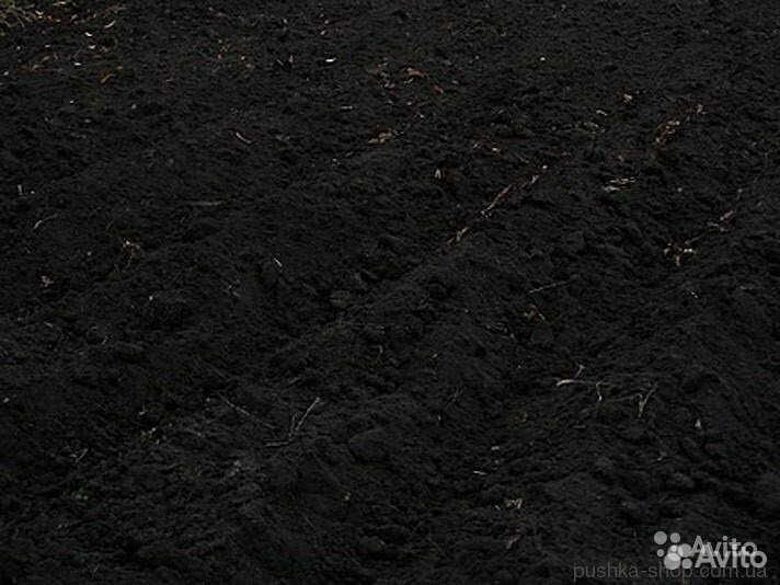 Чернозем торф земля для растений