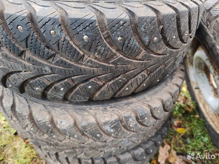Sava Adapto 175/70 R13