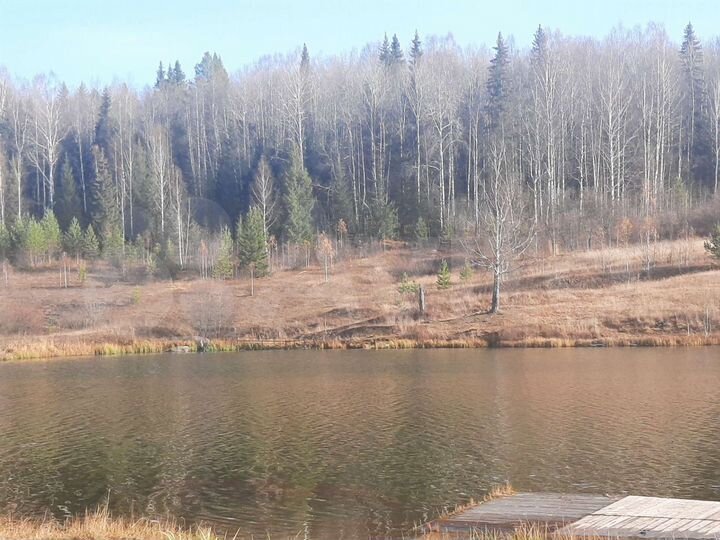 Участок 10 сот. (ИЖС)