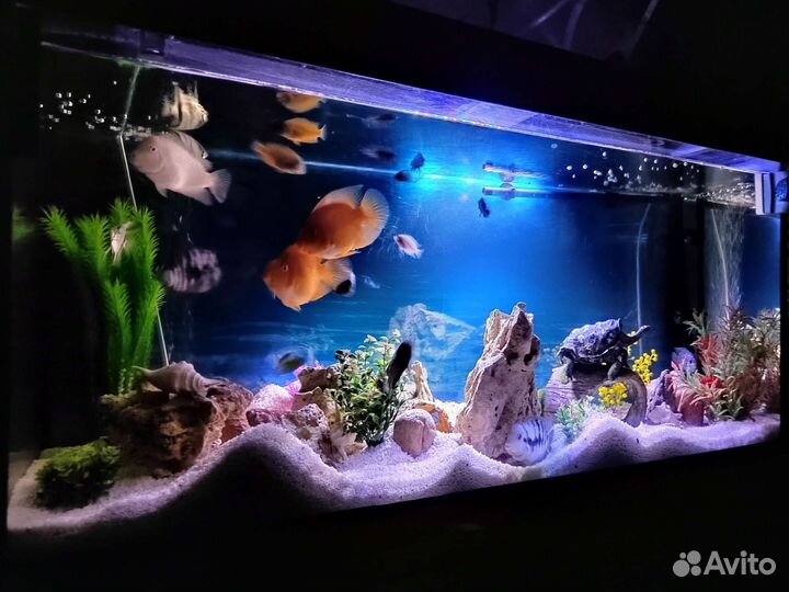 Аквариум с тумбой