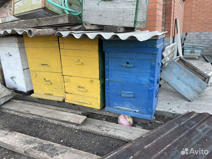 Улья, улей, ульи. Корпусы