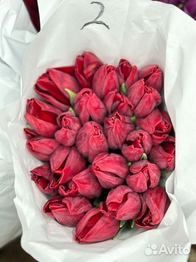 Тюльпаны к 8 марта