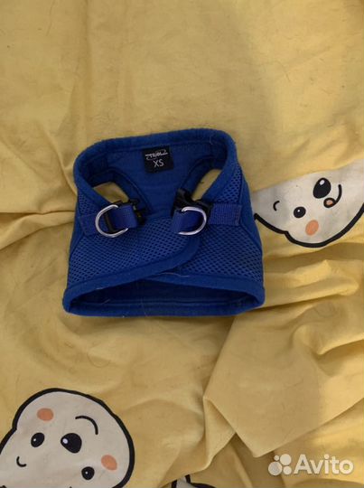 Одежда для маленьких собак