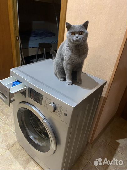 Стиральная машина бу bosch 6 кг